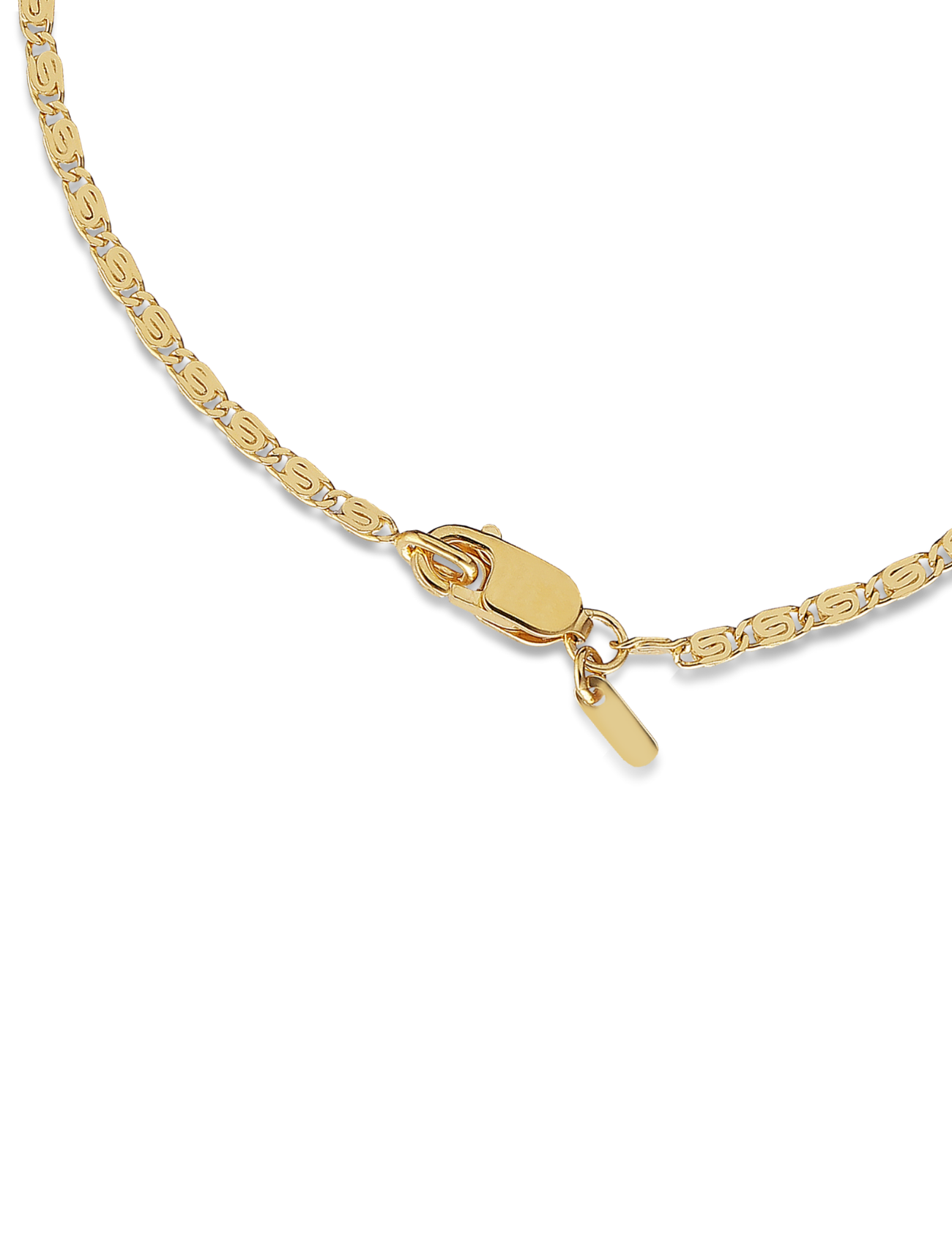 Envision S-Chain Necklace